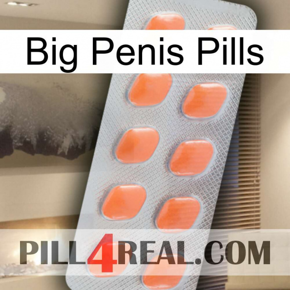 Big Penis Pills 26
